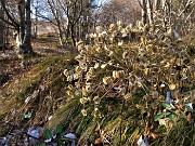 35 Siamo in autunno inoltrato